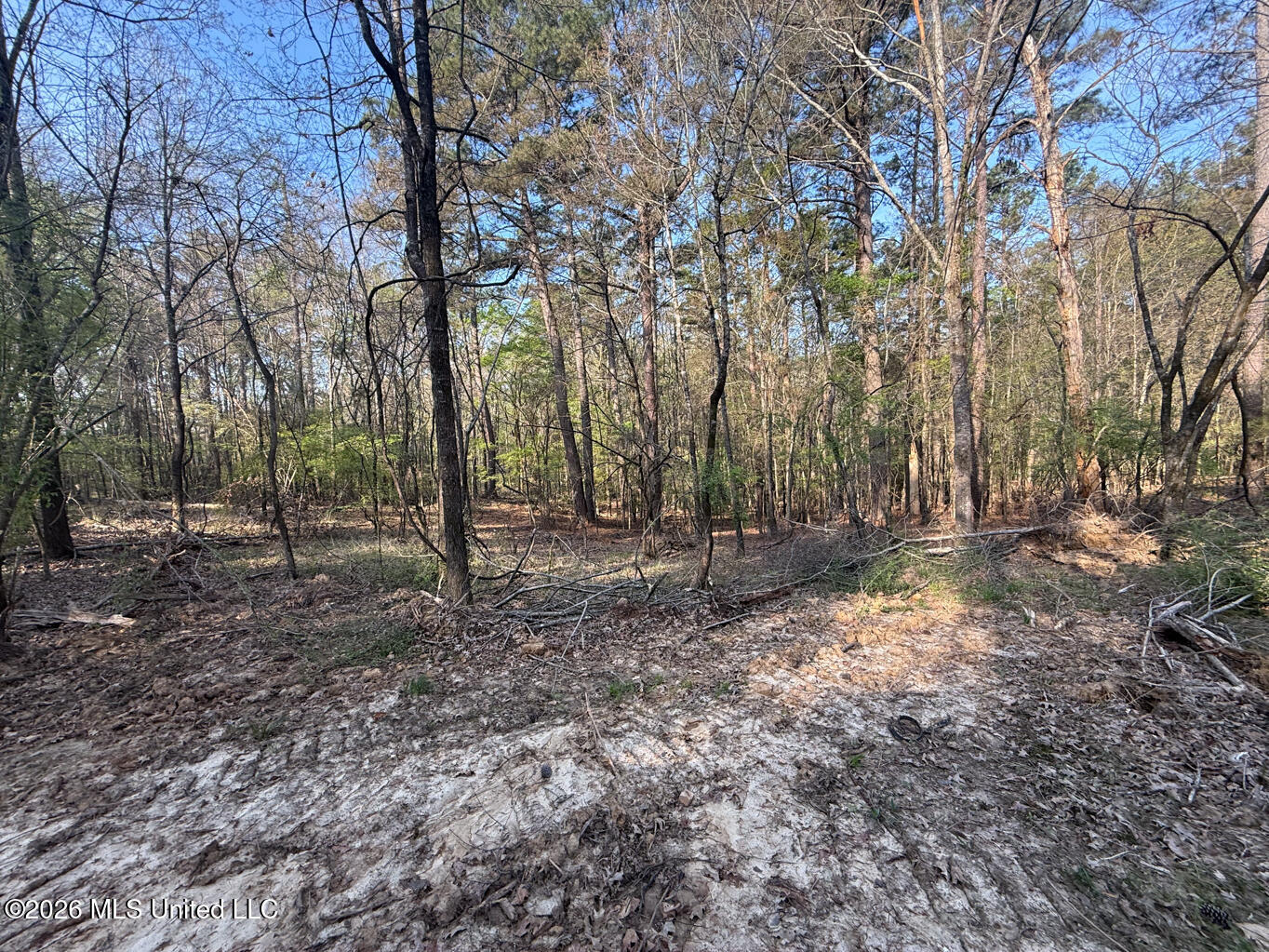 674 East J Henry Road Grenada, MS 38901 - Photo 4 of 26 Grenada 155 EDITS-4