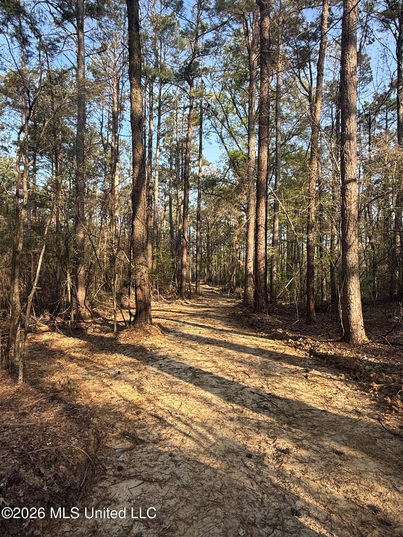 674 East J Henry Road Grenada, MS 38901 - Photo 5 of 26 Grenada 155 EDITS-5