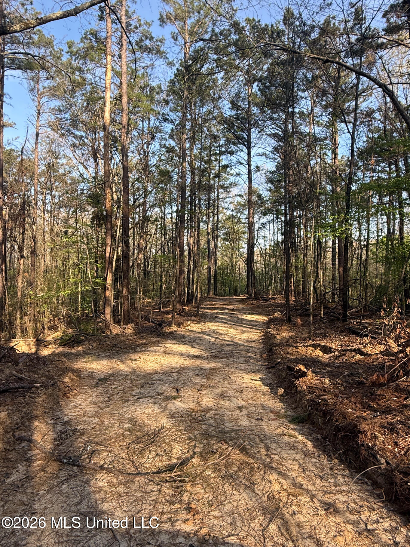 674 East J Henry Road Grenada, MS 38901 - Photo 6 of 26 Grenada 155 EDITS-6