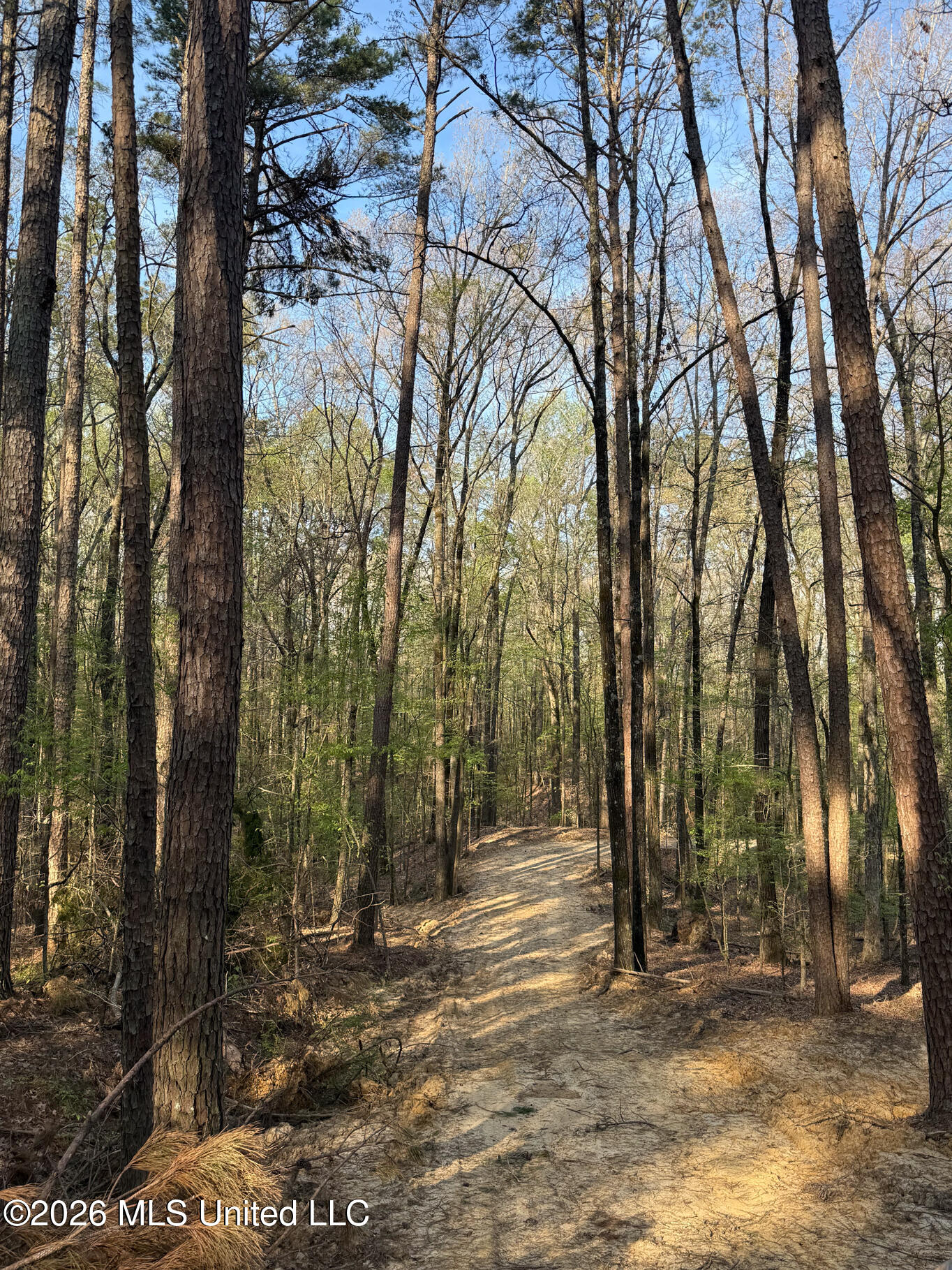 674 East J Henry Road Grenada, MS 38901 - Photo 9 of 26 Grenada 155 EDITS-9