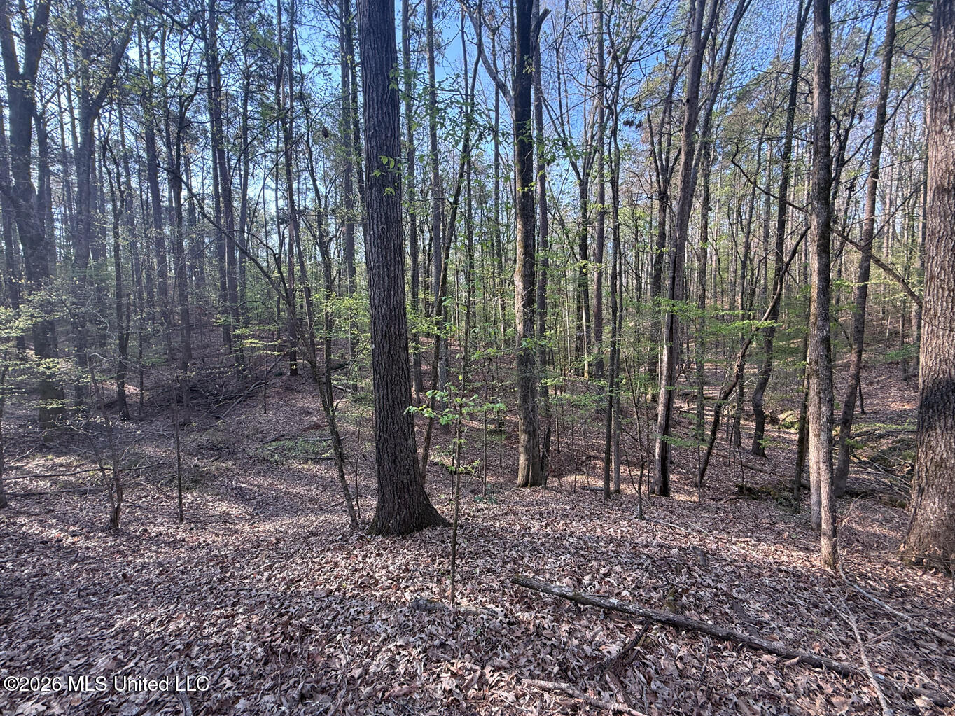 674 East J Henry Road Grenada, MS 38901 - Photo 10 of 26 Grenada 155 EDITS-10