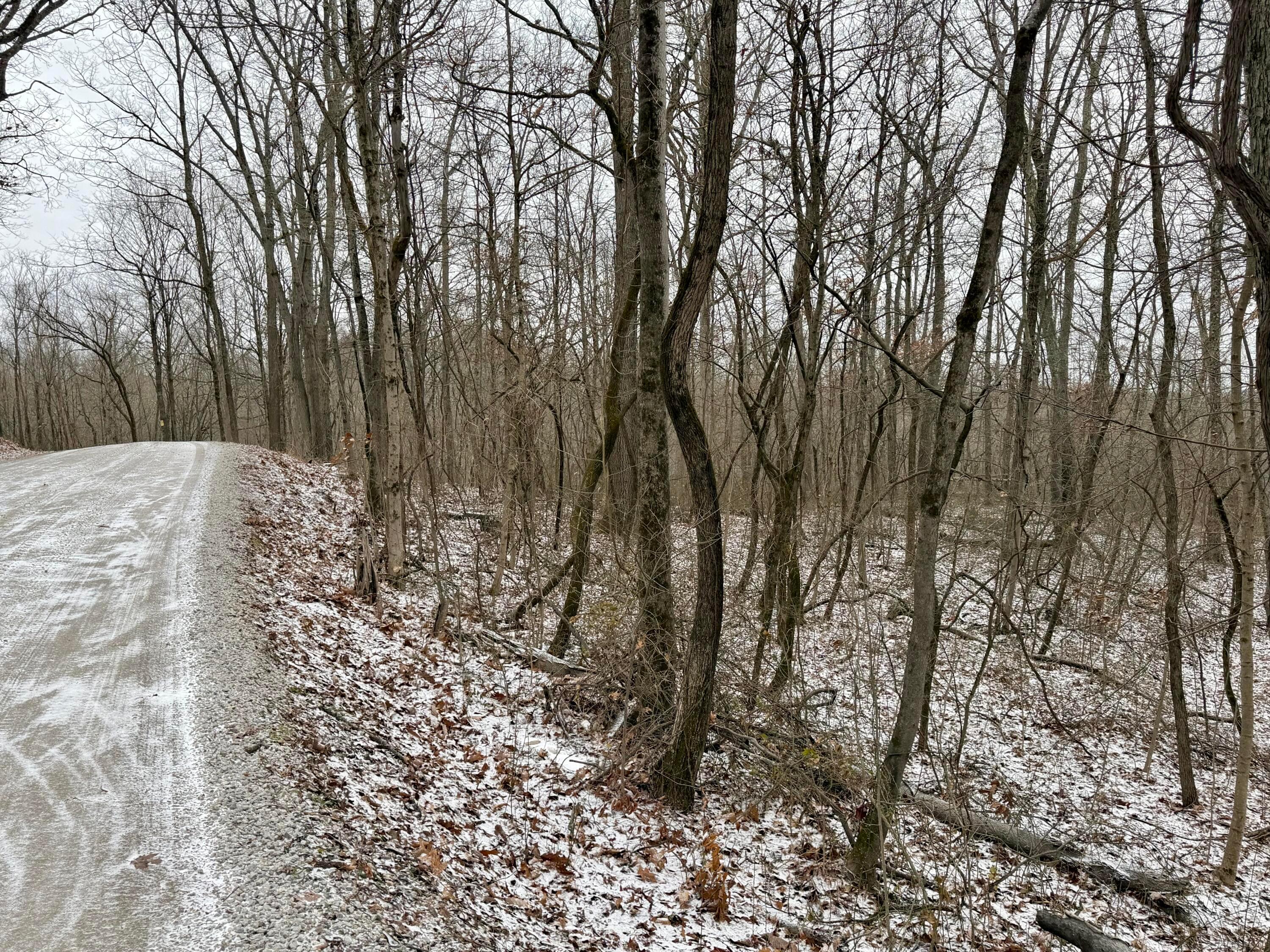 0 Sealover Hollow Road Philo, OH 43771 - Photo 15 of 26 IMG_1977