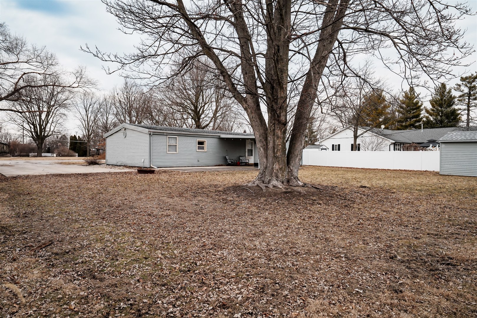803 Sheridan Street Chenoa, IL 61726 - Photo 25 of 33 a view of large tree with a yard