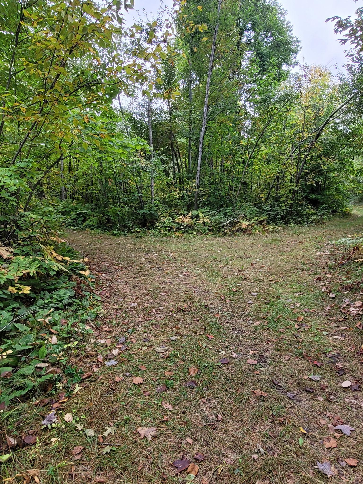 57391 Duncan Road Sandstone, MN 55072 - Photo 23 of 48 Gallery Image 23