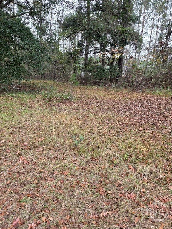 861 Brinson Road Brooklet, GA 30415 - Photo 1 of 6 Gallery Image 1