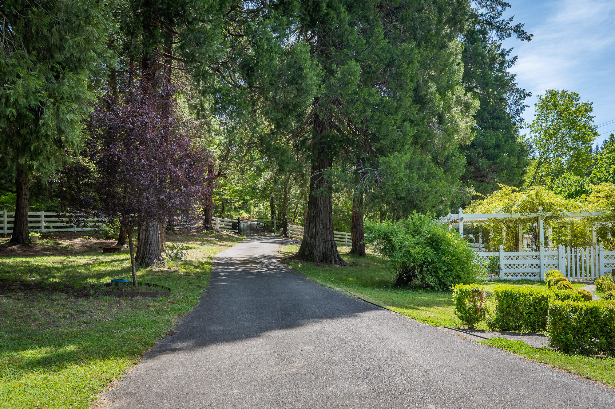 1234 Reuben Road Glendale, OR 97442 - Photo 8 of 38 1234 Rueben Rd-033 - Copy