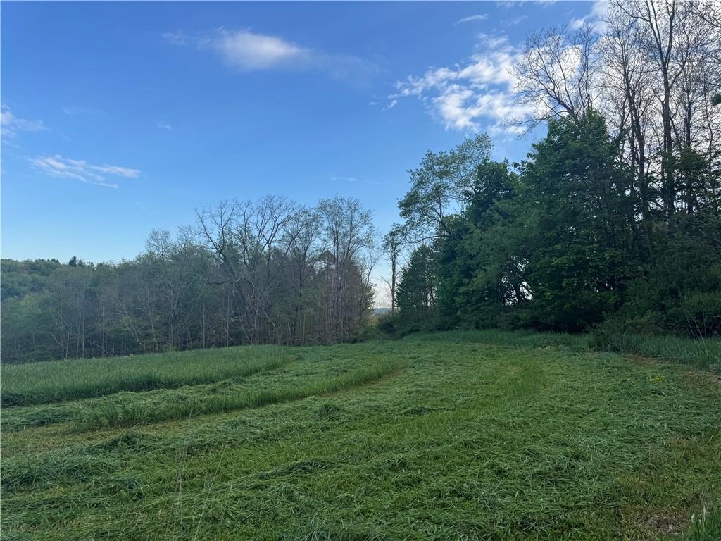 0 Grove Road Stoystown, PA 15563 - Photo 17 of 34