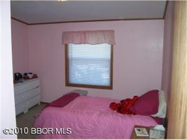 24132 Lookout Tower Road Northeast Blackduck, MN 56630 - Photo 10 of 13