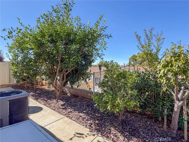 a view of a garden with plants and large trees