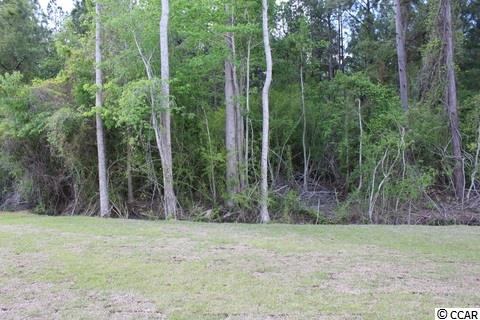 4224 Ridgewood Drive Conway, SC 29526 - Photo 22 of 31 Gallery Image 22