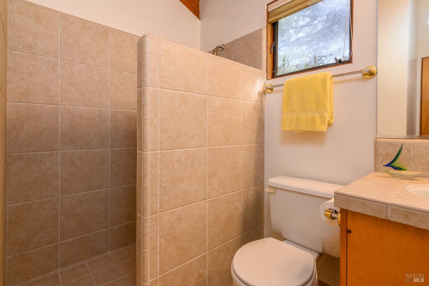 41429 Deer Trail The Sea Ranch, CA 95497 - Photo 31 of 38