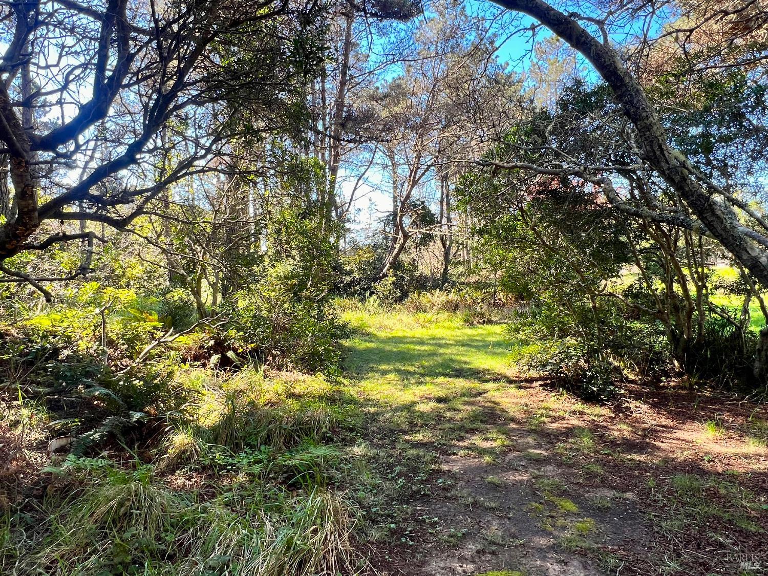 41429 Deer Trail The Sea Ranch, CA 95497 - Photo 32 of 38