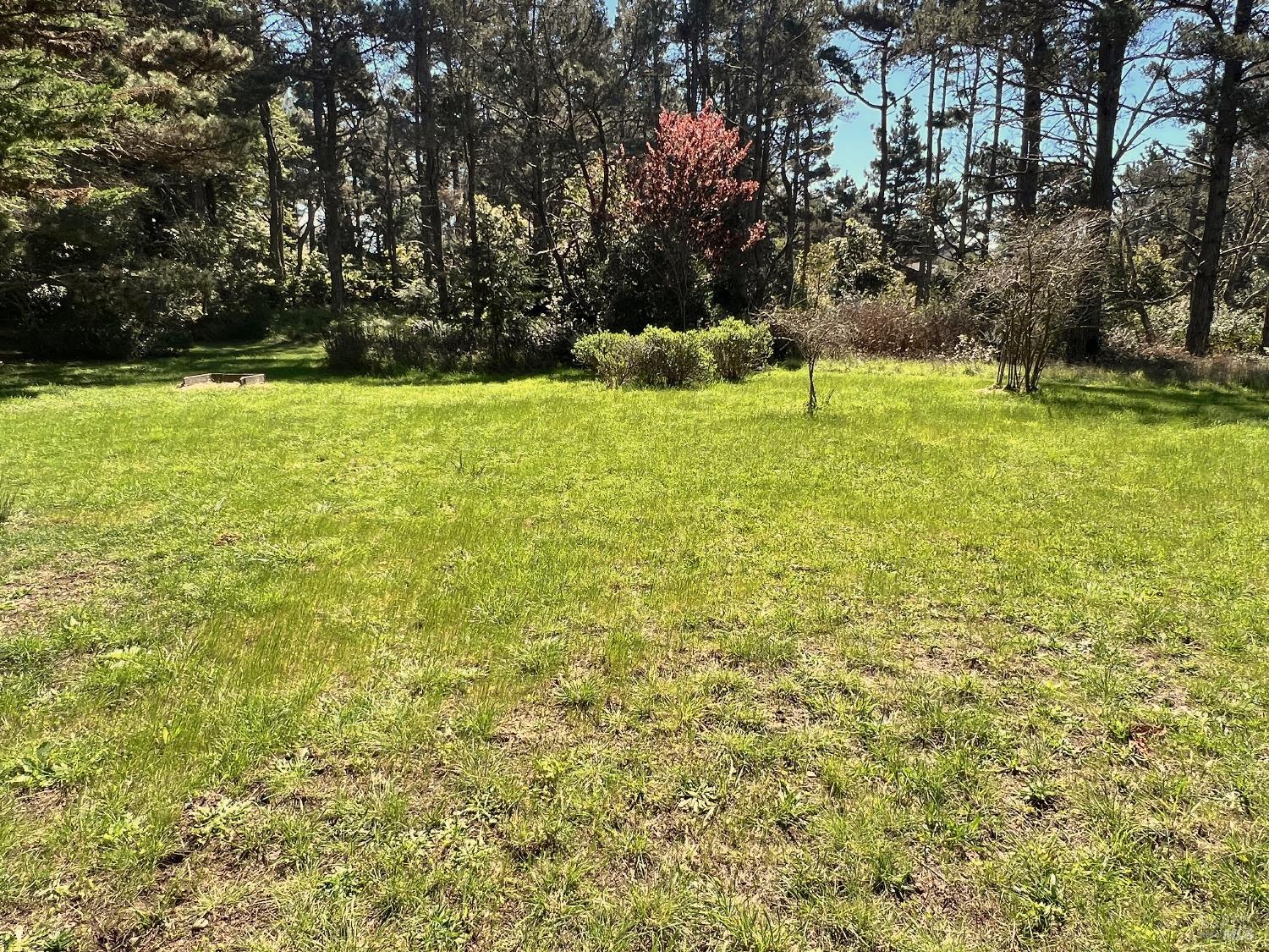 41429 Deer Trail The Sea Ranch, CA 95497 - Photo 34 of 38