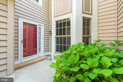 a potted plant in front of a house