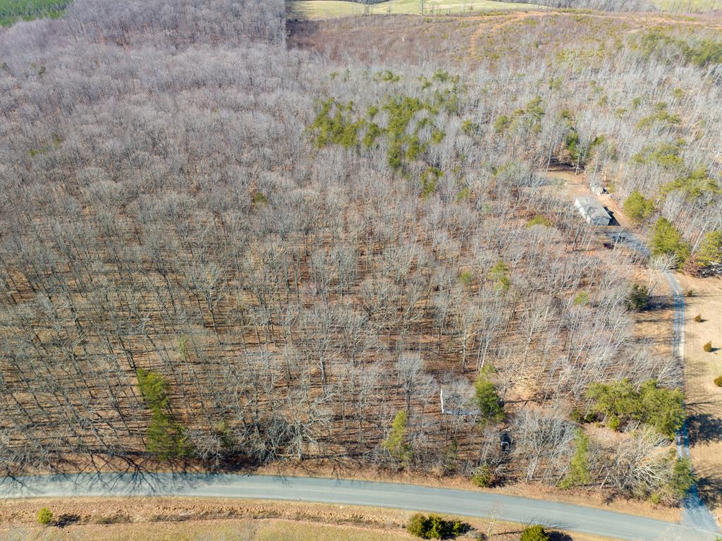 5811 Deer Run Road Farmville, VA 23901 - Photo 1 of 10 Gallery Image 1