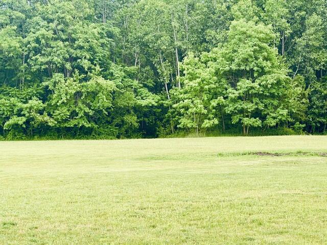 56660 Tanner Trail Three Rivers, MI 49093 - Photo 4 of 5 IMG_8269