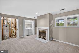 2621 Telluride Place Silver Spring, MD 20906 - Photo 9 of 90 Basement lvl w/fireplace, HVAC, Laundry Area
