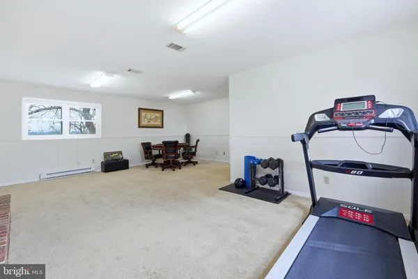 a view of a yard with plants