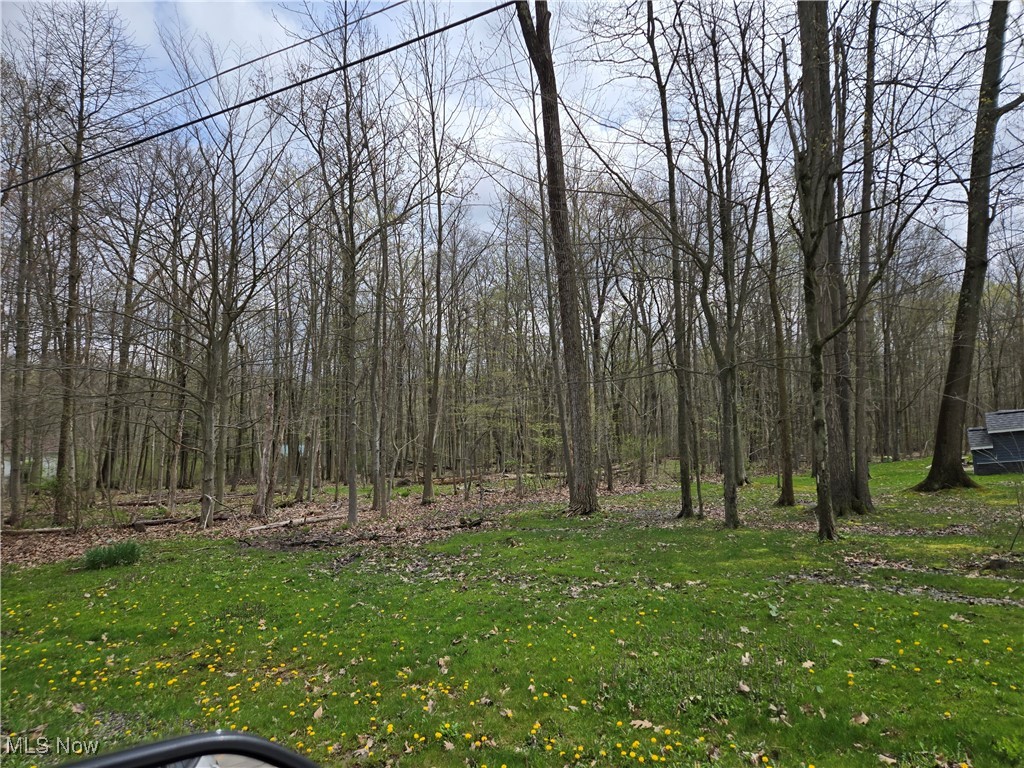 9595 Taylor May Road Chagrin Falls, OH 44023 - Photo 3 of 4 View of yard featuring a wooded view