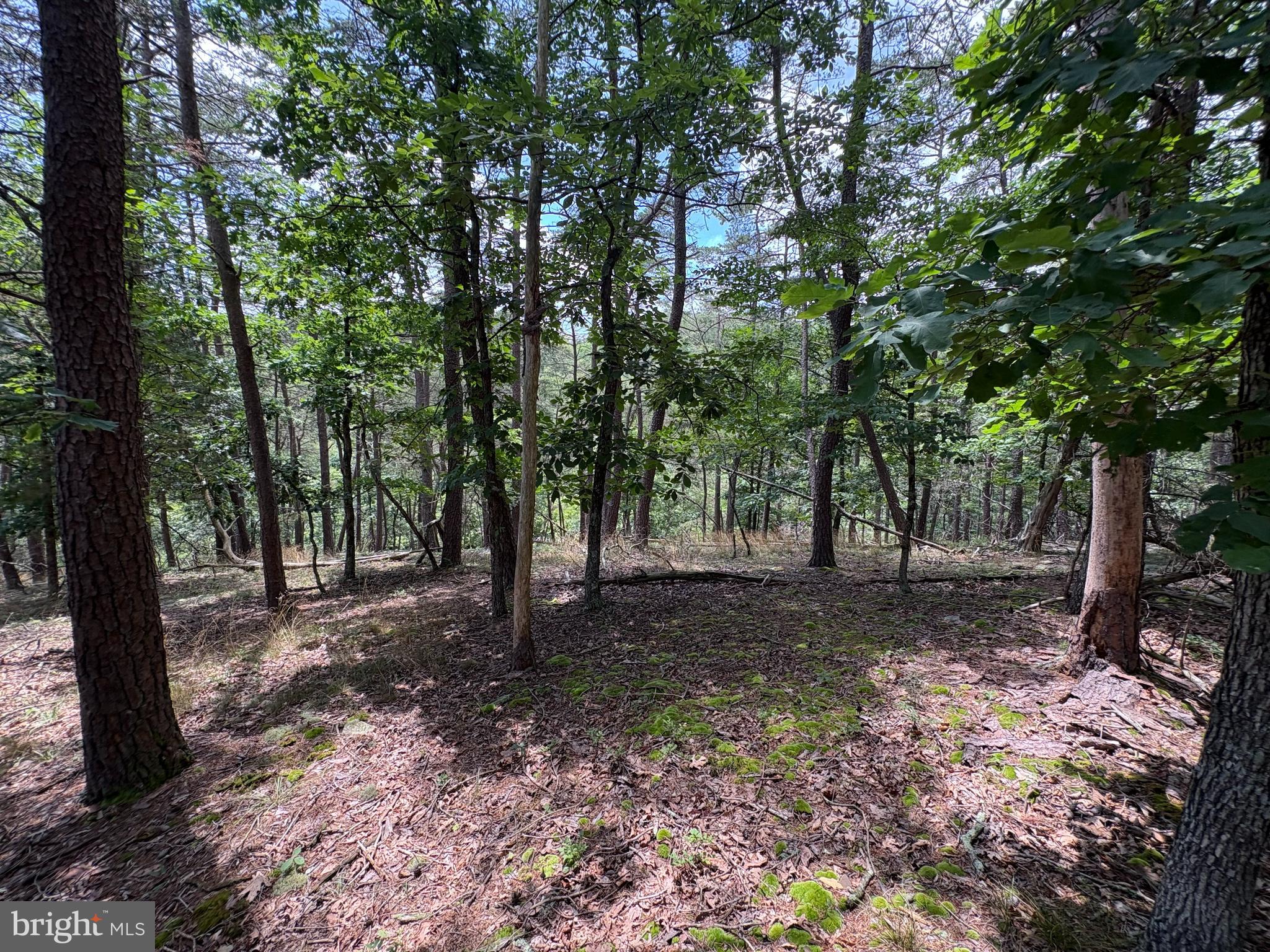 7313 Little Cacapon Road Romney, WV 26757 - Photo 12 of 18