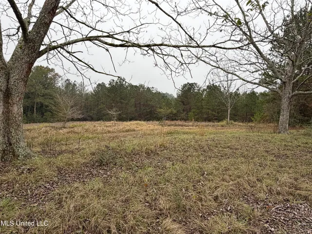 $221,000 | 1179 Bexley Church Road, Lucedale, MS 39452