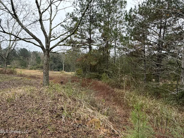 $221,000 | 1179 Bexley Church Road, Lucedale, MS 39452