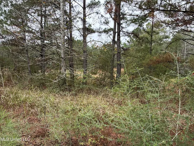 $221,000 | 1179 Bexley Church Road, Lucedale, MS 39452