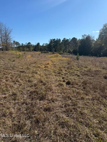 $221,000 | 1179 Bexley Church Road, Lucedale, MS 39452