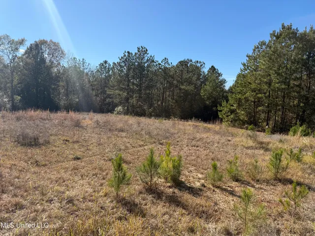 $221,000 | 1179 Bexley Church Road, Lucedale, MS 39452