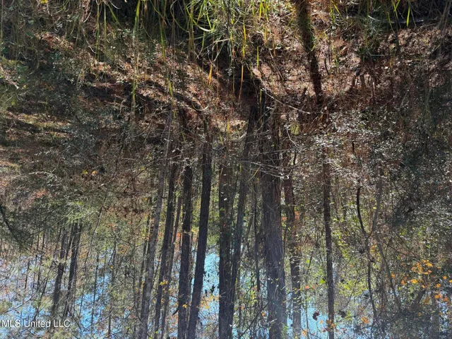 $221,000 | 1179 Bexley Church Road, Lucedale, MS 39452