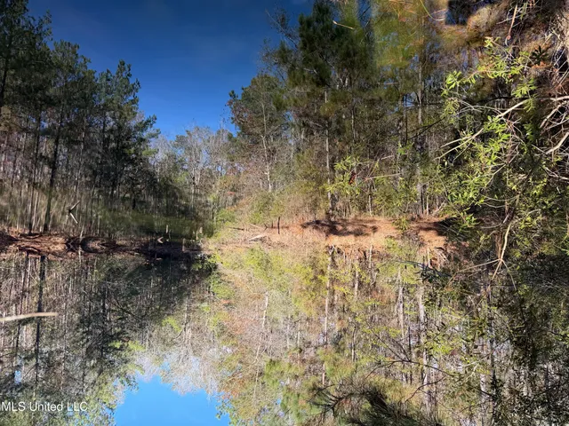 $221,000 | 1179 Bexley Church Road, Lucedale, MS 39452