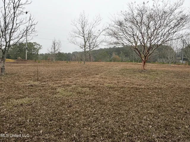 $221,000 | 1179 Bexley Church Road, Lucedale, MS 39452