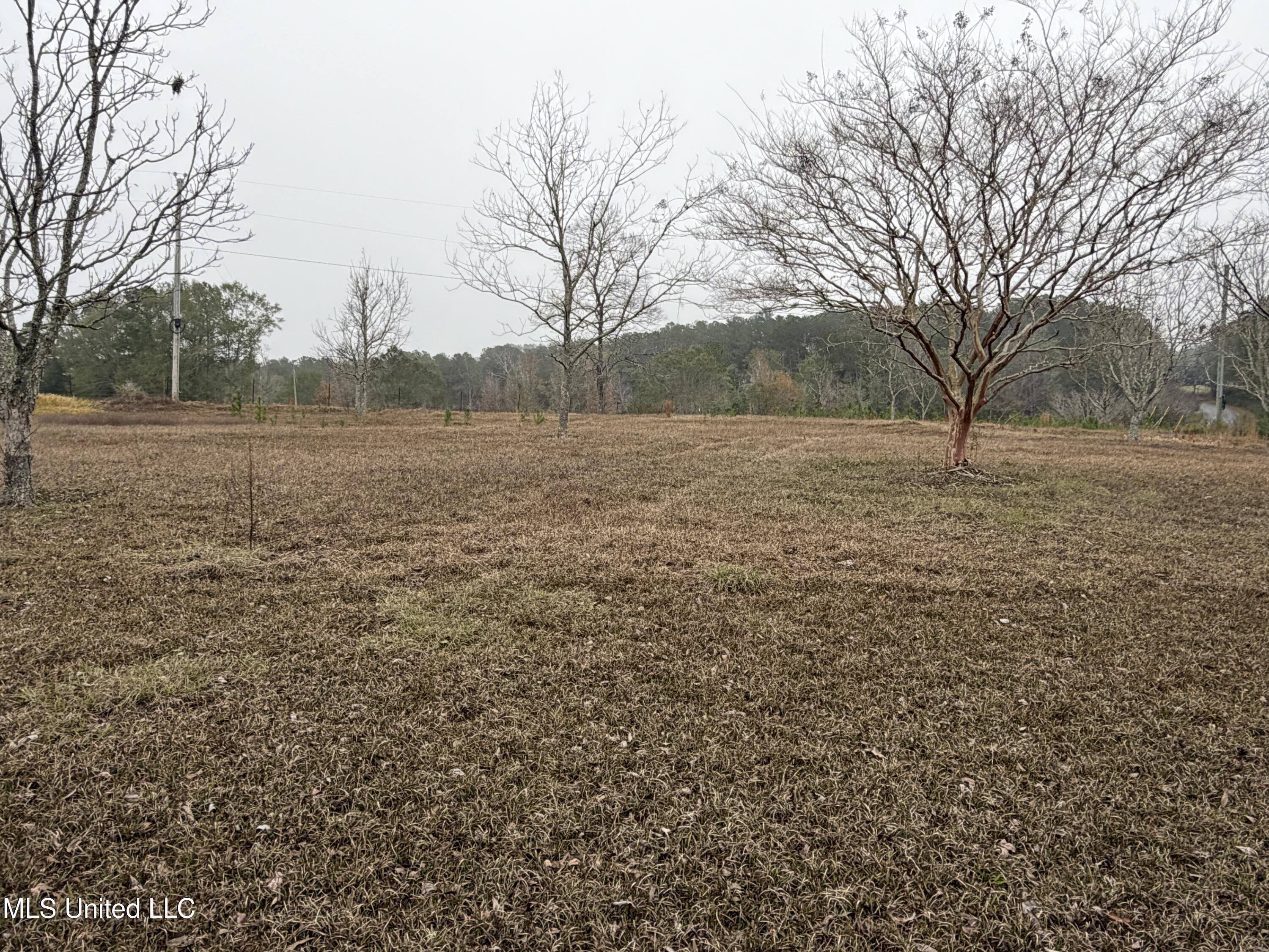 1179 Bexley Church Road Lucedale, MS 39452 - Photo 5 of 54 IMG_6196