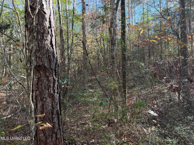 $221,000 | 1179 Bexley Church Road, Lucedale, MS 39452