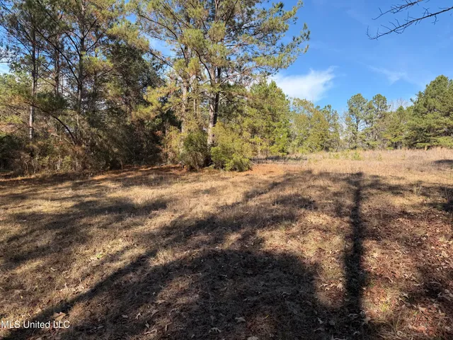 $221,000 | 1179 Bexley Church Road, Lucedale, MS 39452