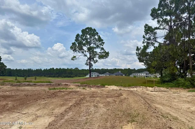 a backyard of a house with lots of green space