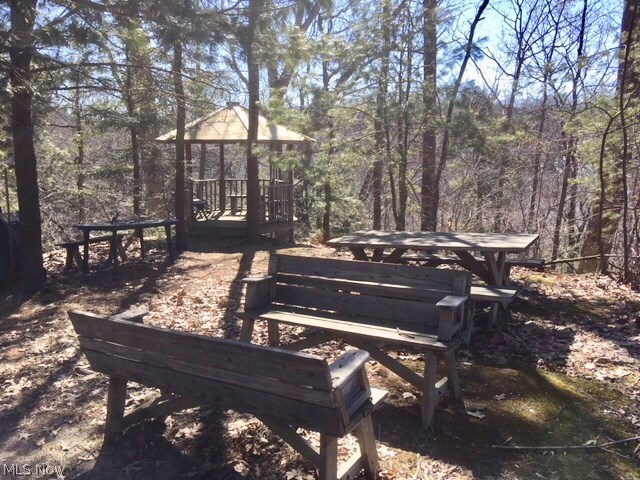 4970 River Road Perry, OH 44081 - Photo 23 of 31 ! Gazebo in SE corner of the property is strategically situated above the river valley and a waterfall