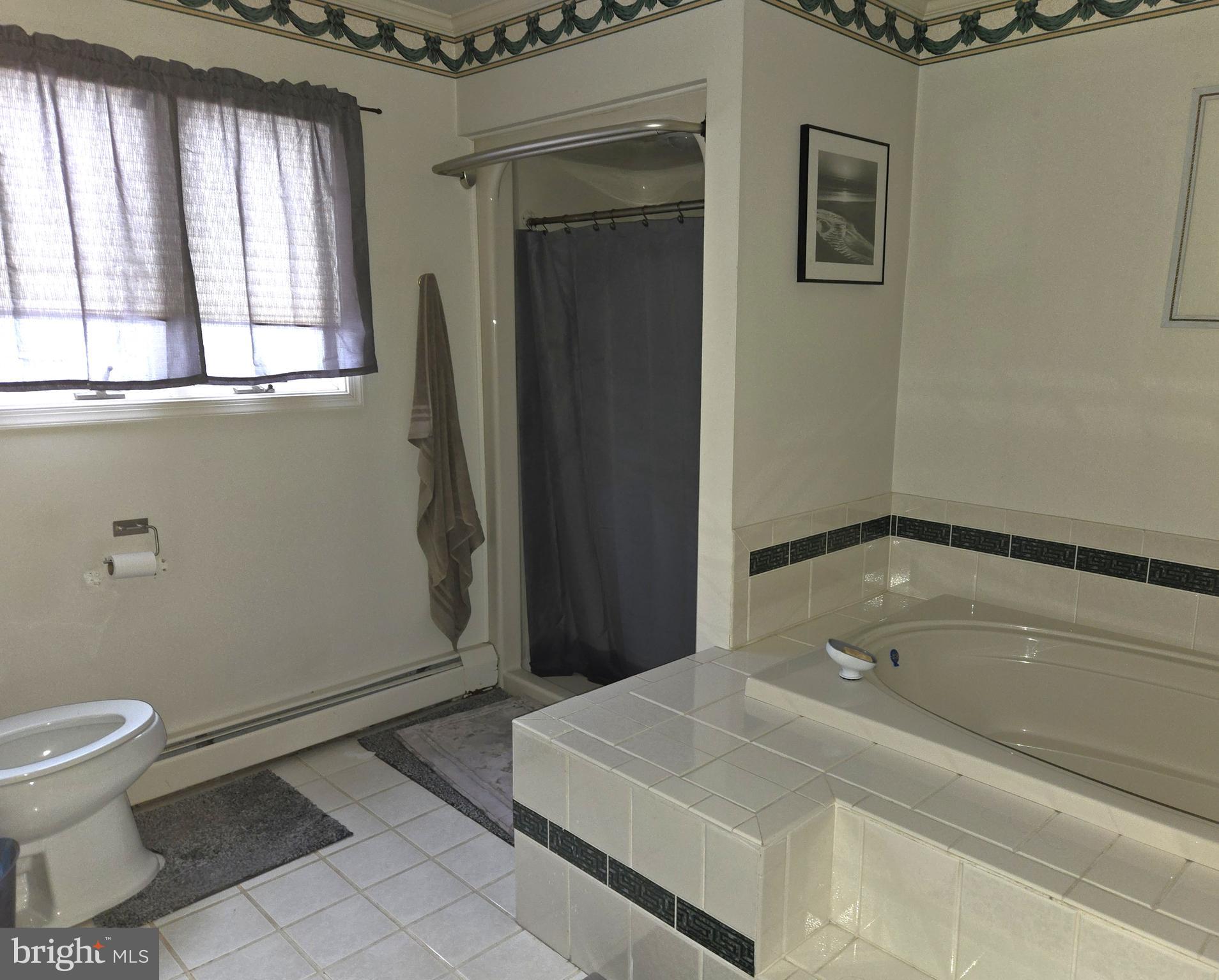 21498 Dover Bridge Road Preston, MD 21655 - Photo 15 of 33 a bathroom with a sink and a toilet