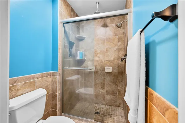 a bathroom with a shower and toilet