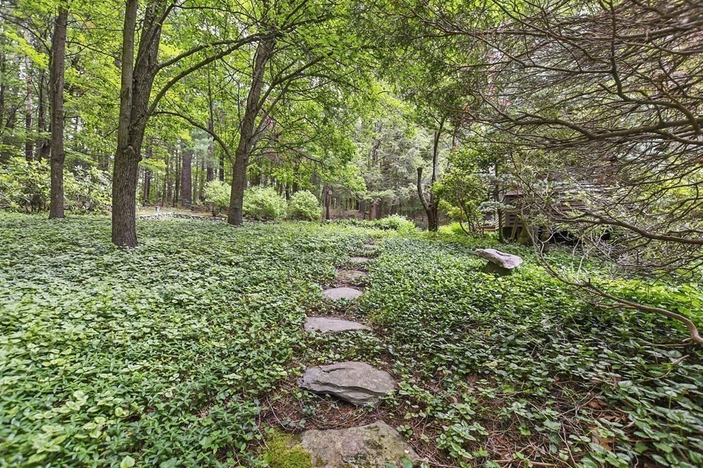 259 Hollis Road Lunenburg, MA 01462 - Photo 32 of 39 a backyard of a house with lots of green space