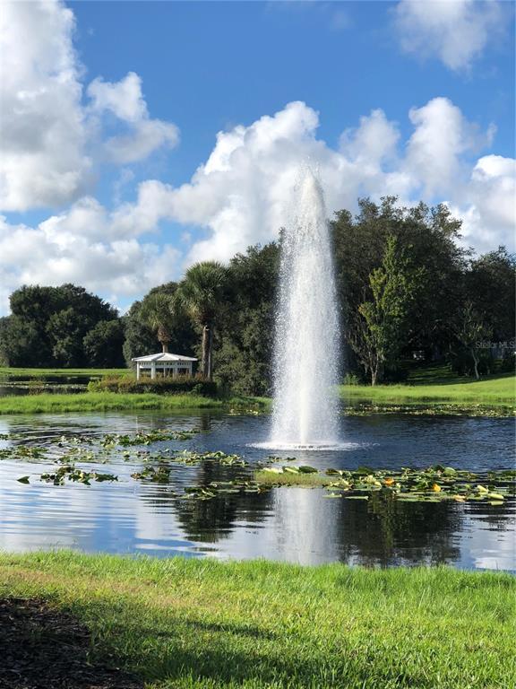 4755 Tara View Road Leesburg, FL 34748 - Photo 97 of 100