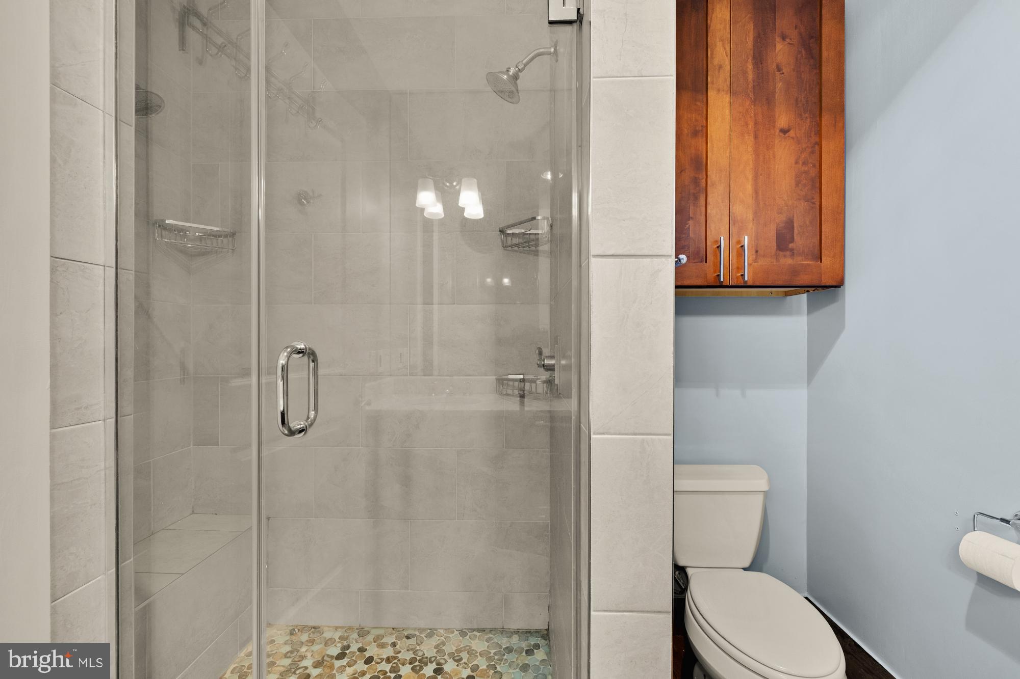 215 I Street Northeast, Unit 311 Washington, DC 20002 - Photo 18 of 38 a bathroom with a toilet and a shower