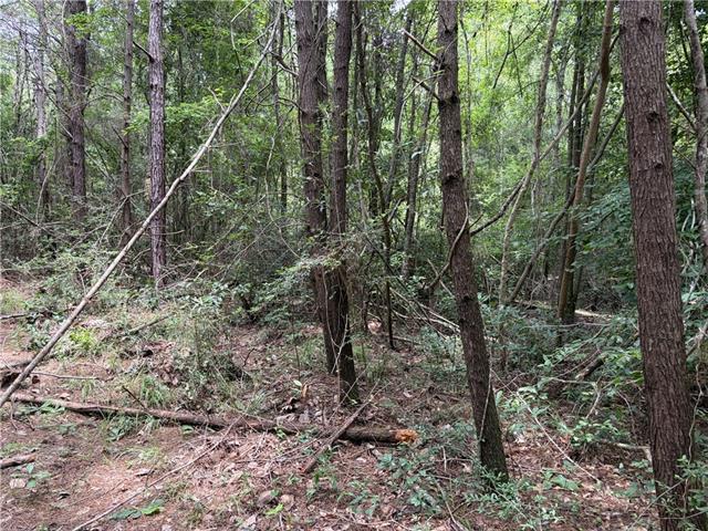 0 Thigpen Road Franklinton, LA 70438 - Photo 17 of 34
