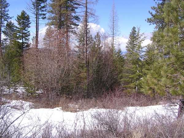 3129 Wild Turkey Lane Riverside, WA 98849 - Photo 11 of 15 Gallery Image 11