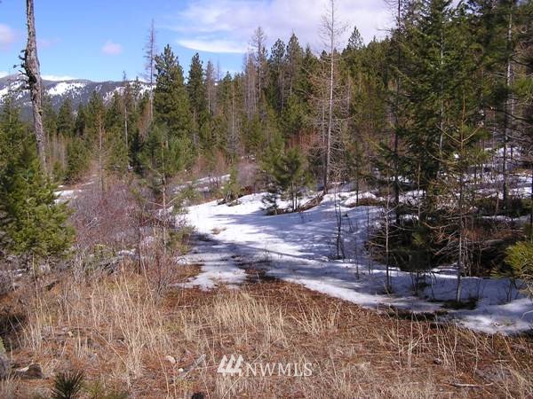 3129 Wild Turkey Lane Riverside, WA 98849 - Photo 12 of 15 Gallery Image 12