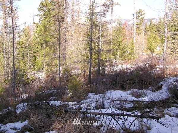 3129 Wild Turkey Lane Riverside, WA 98849 - Photo 13 of 15 Gallery Image 13