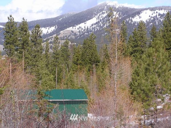 3129 Wild Turkey Lane Riverside, WA 98849 - Photo 3 of 15 Gallery Image 3