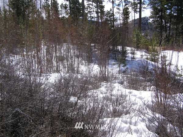 3129 Wild Turkey Lane Riverside, WA 98849 - Photo 10 of 15 Gallery Image 10