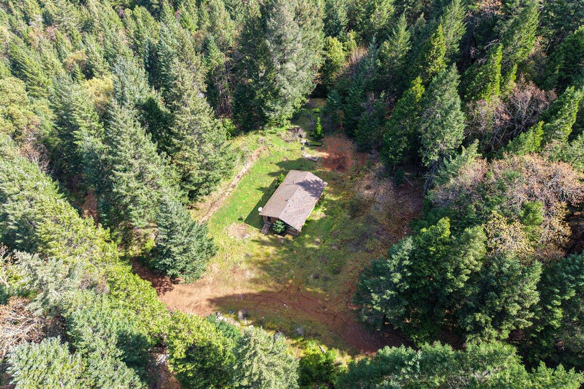 2787 Davis Creek Road Selma, OR 97538 - Photo 22 of 22 22-DCS4399