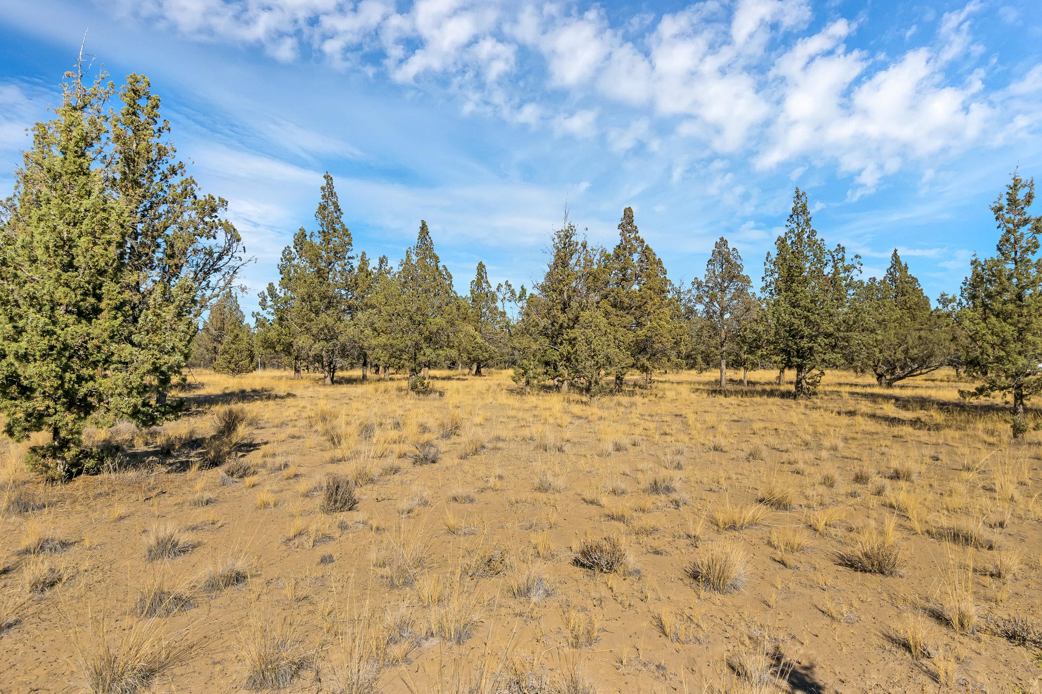 9644 Northwest Rocky Road Powell Butte, OR 97753 - Photo 15 of 31 DSC02182